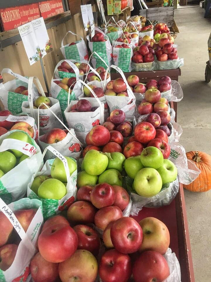 Partyka Farms & the Country Barn Quilt Trail, Kendall, NY